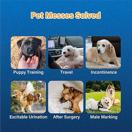 Honeycare Disposable Male Wraps for Senior Dogs, Medium Size, 40 Count, Super Absorbent, Breathable, Wetness Indicator, Super Deodorization, Cute Suit Suspenders Design