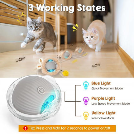 Cat Interactive Toy, Hidden & Seeking Game Mat with Moving Ball, Indoor Interactive Cat Toy, Perfect Cat Kick Toy, Bring Endless Fun
