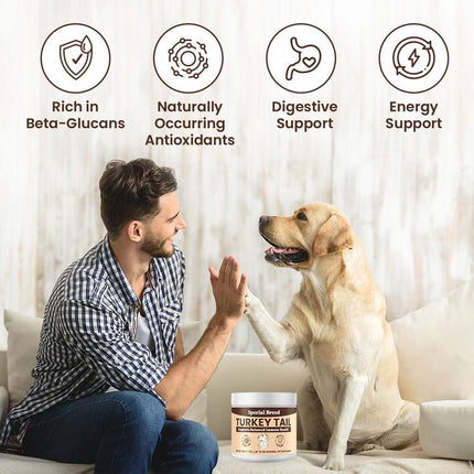 Special Breed Turkey Tail Mushroom for Dogs and Cats - Organic Turkey Tail Powder, Canine Immune Support, 200 Grams