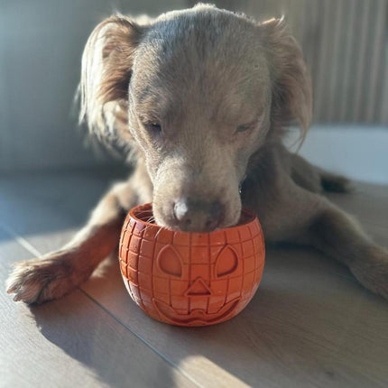 Freezpumpkin Limited Halloween Edition Dog Toy