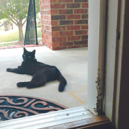 CLAWGUARD: Protection Tape Roll with Dispenser - Shield from Scratching