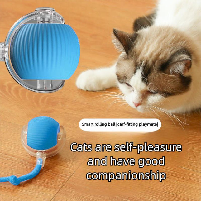 Upgraded Version 2025 Intelligent Interactive Electric Cat Toy Ball Indoor - Automatic Wake-Up Function, Automatic Rolling, Super Avoiding Sensitive Obstacles, Releasing Unlimited Cat Entertainment (Blue)