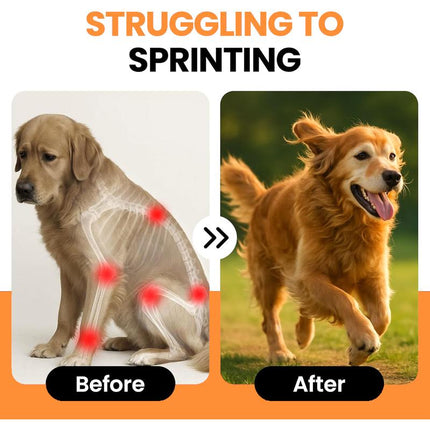 Glucosamine for Dogs Hip and Joint Supplement Chews, Chondroitin Joint Supplement for Dogs, Joint Chews for Dog, Dog Supplement for Joint Pain Relief