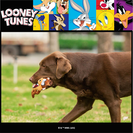 for Pets Brown Tasmanian Devil Taz Ball Body Plush Dog Toy for All Dogs | Squeak Toy for Dogs | Cartoon Character Soft Plush Stuffed Dog Toy 3.9 Inch