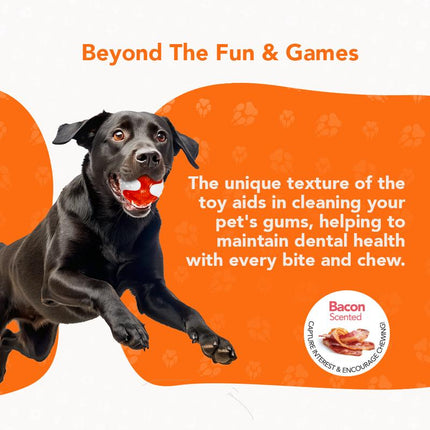 Rethink Pet Bacon Scented Ball Chew Toy, Durable and Fun Dog Toy Ball