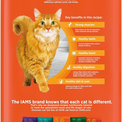 Proactive Health Adult Healthy Dry Cat Food with Real Salmon, 7 Lb. Bag