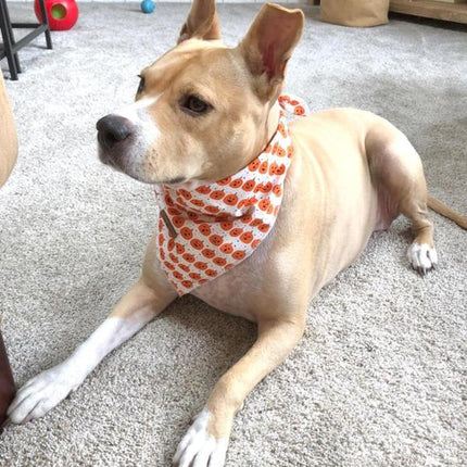Lionet Paws Halloween Dog Bandana - Fashionable Soft Cotton Pumpkin Scarf for Small to Large Dogs
