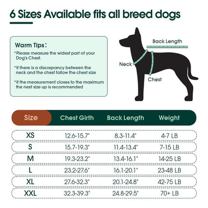 Kuoser Dog Surgery Recovery Suit, Recovery Suit for Female Male Dogs, Dog Onesie after Surgery Spay Neuter, Anti-Licking Pet Surgical Recovery Snugly Suit, Fuddle Wuddle Patch Puppy