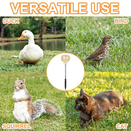 2 Pack Chicken Peck Toy, Chick Slow Feeder Ball & Enrichment Toy, Boredom Toys for Your Flock, Chicken Coop Toys for Hens Birds