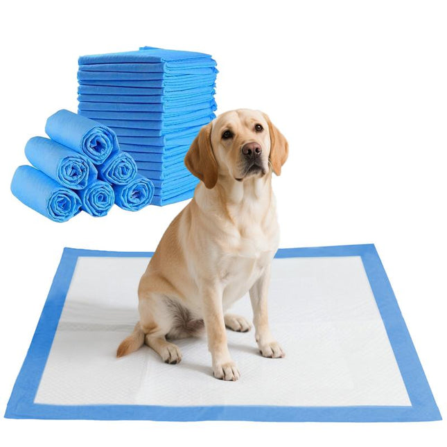Goofypet 30" X 36" Training Pad, 40 Count Dog Pee Pads, Doggie Pads, Disposable Puppy Pee Pads