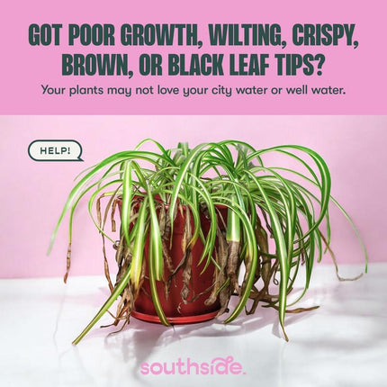 All-In-One Tap Water Conditioner for Houseplants, Hydroponics & Aquariums - Remove Chlorine, Chloramines & Heavy Metals, Improve Ph, 8 Oz