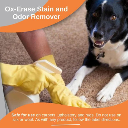 Odorcide Ox Erase Pet Urine Carpet Cleaner Stain Remover Concentrate – Pet Stain and Odor Remover - Safe, Non-Enzymatic Formula, (1 Gallon)