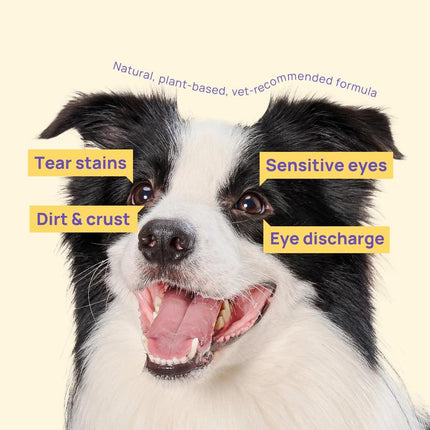 【Restocksale】Hicc PET Eye Wipes for Dogs & Cats, Hypoallergenic Dog Eye Wipes Cleaner, Natural Cleaning Grooming Pet Wipes Gently Remove Tear Stain, Eye Debris, Discharge, Mucus, Non-Irritating, Unscent, 100 PCS Large Pet Grooming Eye#Petlife