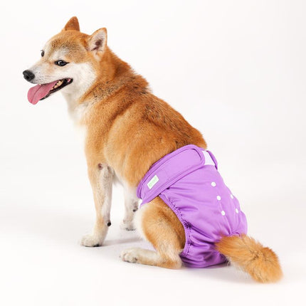 Wegreeco Reusable and Washable Female Dog Diapers, 3-Pack