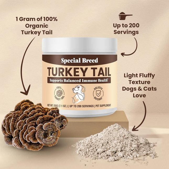 Special Breed Turkey Tail Mushroom for Dogs and Cats - Organic Turkey Tail Powder, Canine Immune Support, 200 Grams