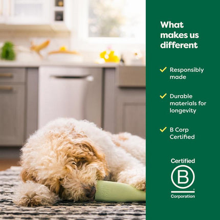 Earth Rated Dog and Puppy Enrichment Toy Natural Rubber Chew Stick for Small Medium & Large Dogs Durable Dishwasher Safe Ergonomic Design for Boredom Relief