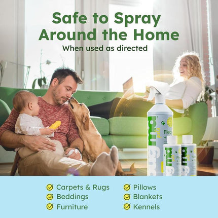 Bugmd Flea & Tick Concentrate (3.7 Oz, 2-Pack) – Plant-Based Formula for Pet Areas, Safe for Use around Dogs