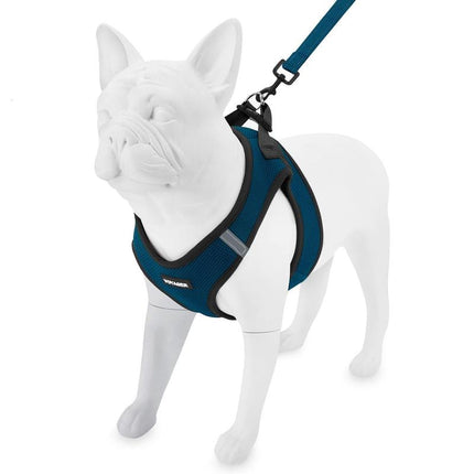 Step-In Air Harness & Leash Set