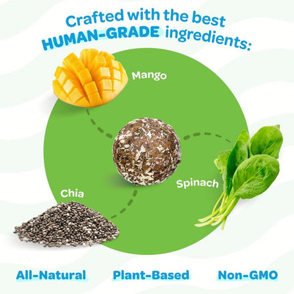 Peteverscence Treat-A-Balls Dog Training Treats - Healthy Low Calorie Vegan Treats for Small to Large Dogs - 18 Mango Chia Spinach Coated Balls - New Zealand Made