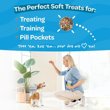 Peteverscence Treat-A-Balls Dog Training Treats - Healthy Low Calorie Vegan Treats for Small to Large Dogs - 18 Mango Chia Spinach Coated Balls - New Zealand Made