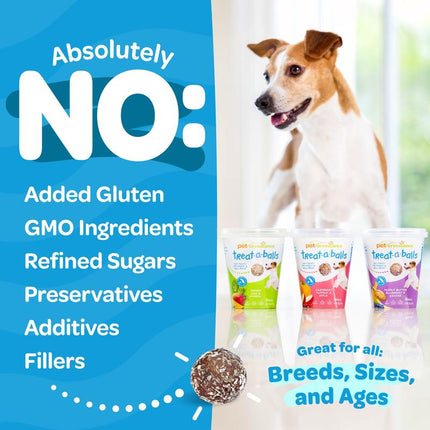 Treat-A-Balls Dog Training Treats - Healthy Low Calorie Treats for Small to Large Dogs - Vegan Snacks - 18 Treats - Cranberry, Apple, Pumpkin Coated