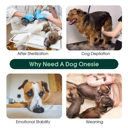 Kuoser Dog Surgery Recovery Suit, Recovery Suit for Female Male Dogs, Dog Onesie after Surgery Spay Neuter, Anti-Licking Pet Surgical Recovery Snugly Suit, Fuddle Wuddle Patch Puppy