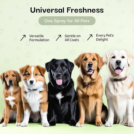 Show Dog Premium Dog Cologne and Odor Eliminator Long Lasting Spray Deodorant for Smelly Dogs 3 X 2Oz Spray Bottles Made with Essential Oils