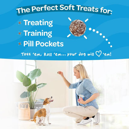 Treat-A-Balls Dog Training Treats - Healthy Low Calorie Treats for Small to Large Dogs - Vegan Snacks - 18 Treats - Cranberry, Apple, Pumpkin Coated