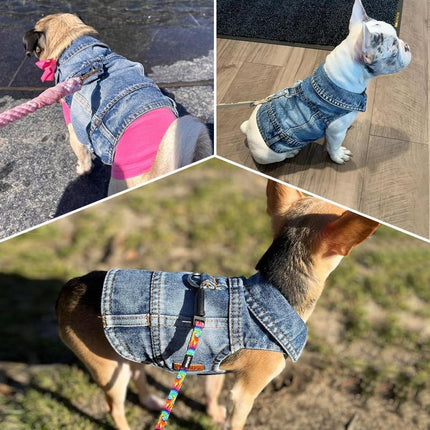 Dog Jean Jacket, Blue Denim Shirt Classic Lapel Vest Coat Costume Puppy T-Shirt, Comfort Tank Top Cool Apparel, Washed Pet Clothes for Dogs Boy Girl (With D-Ring, Medium)
