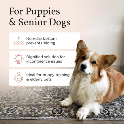 Washable Pee Pads for Dogs, Stylish, Non-Slip and Leak-Proof Pee Pads. Reusable Potty Pads for Dogs for Crates and Floors Disposable Dog Potty Washable Pee Pads for Dogs Bundle