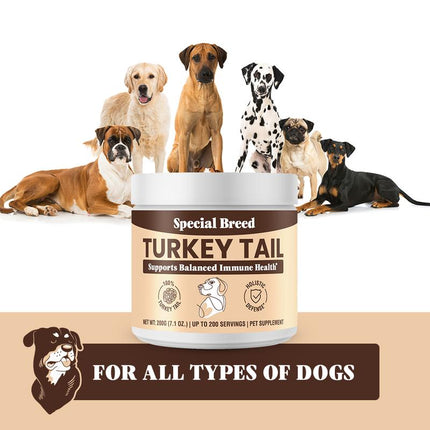 Special Breed Turkey Tail Mushroom for Dogs and Cats - Organic Turkey Tail Powder, Canine Immune Support, 200 Grams