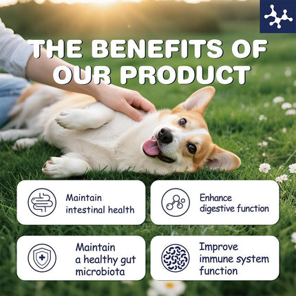 Probiotics for Dogs&Cats,Digestive Enzymes for Gut Flora, Digestive Health, Diarrhea & Bowel Support,Dog&Cat Supplement Soft Chew for Pet Immune System