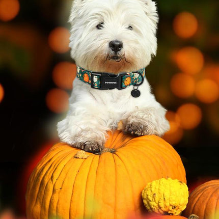 DOGWONG Adjustable Fall Pumpkin Dog Collar - Fashionable Soft Thanksgiving Pet Necklace for All Dog Sizes