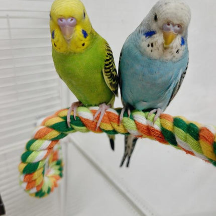 Dual-Length Parrot Climbing Rope Set- 40” & 14” Bendable Cotton Bird Toy with Two-Sides Screws, Chew-Proof & Cage-Mountable for Conures, Cockatiels, Lovebirds (Yellow/Orange/Green/White)