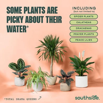 All-In-One Tap Water Conditioner for Houseplants, Hydroponics & Aquariums - Remove Chlorine, Chloramines & Heavy Metals, Improve Ph, 8 Oz