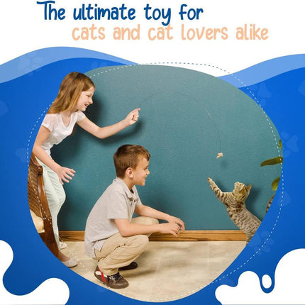 Cat Dancer Products 101 Interactive Cat Toy, Brown