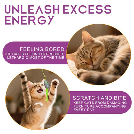 Electric Cat Teaser, Rechargeable Interactive Cat Toy, Upgraded Dual Mode, Irregular Rocking & 360° Spinning with Remote, Door Clip Design, Stimulates Mind & Body, Motion Activated, Cat Toys, Cat Stuff