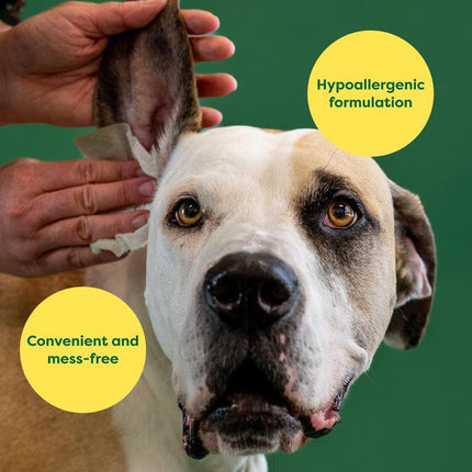 Dog Ear Wipes, Oatmeal Scented Hypoallergenic and Plant Based Ear Wipes for Dogs to Remove Dirt and Wax Build Up, 60 Count Dogear Cleaner