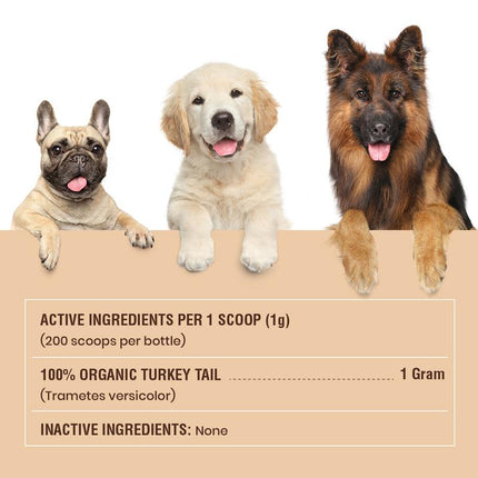 Special Breed Turkey Tail Mushroom for Dogs and Cats - Organic Turkey Tail Powder, Canine Immune Support, 200 Grams