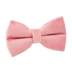 [Velvet 01]Bowtie Xs(2.95*1.96Inch)