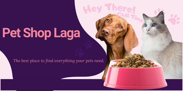 <h1><strong>The best place to find everything your pets need.</strong></h1>