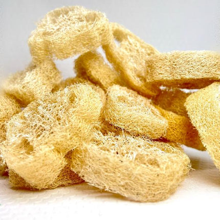 5 Pc Undyed Loofah Natural for Chinchilla, Chew Toy for Chinchilla, Small Animal Toss Toy