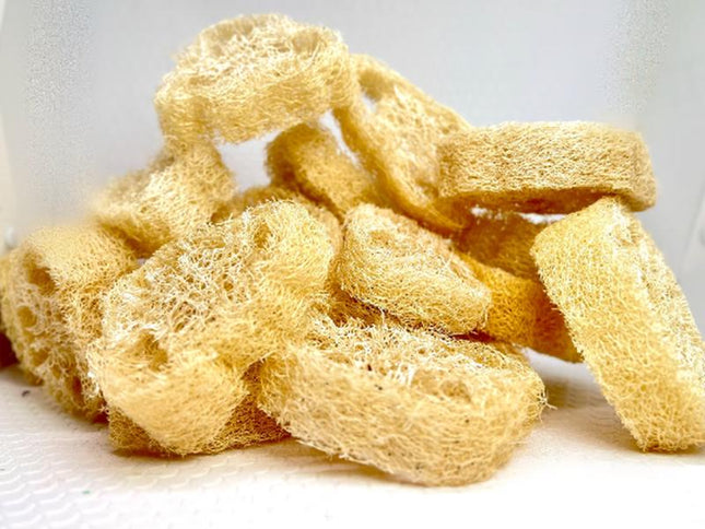 5 Pc Undyed Loofah Natural for Chinchilla, Chew Toy for Chinchilla, Small Animal Toss Toy