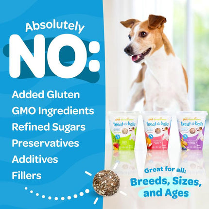 Peteverscence Treat-A-Balls Dog Training Treats - Healthy Low Calorie Vegan Treats for Small to Large Dogs - 18 Mango Chia Spinach Coated Balls - New Zealand Made