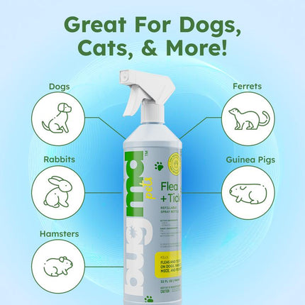 Bugmd Flea & Tick Concentrate (3.7 Oz, 2-Pack) – Plant-Based Formula for Pet Areas, Safe for Use around Dogs