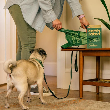 Earth Rated Dog Poop Bags with Handles Value Pack, Easy Tie and Guaranteed Leakproof, Unscented, 600 Handle Bags
