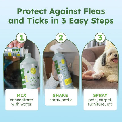 Bugmd Flea & Tick Concentrate (3.7 Oz, 2-Pack) – Plant-Based Formula for Pet Areas, Safe for Use around Dogs