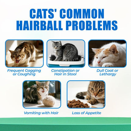 Just Try Cat Grass Hairball Relief Treats – Pumpkin & Omega-3 Fish Oil for Digestive Support, Chicken Flavor Hairball Treatment for Cats, 300 Count