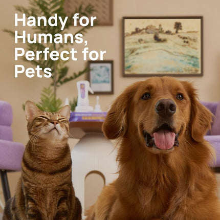 【Restocksale】Hicc PET Eye Wipes for Dogs & Cats, Hypoallergenic Dog Eye Wipes Cleaner, Natural Cleaning Grooming Pet Wipes Gently Remove Tear Stain, Eye Debris, Discharge, Mucus, Non-Irritating, Unscent, 100 PCS Large Pet Grooming Eye#Petlife