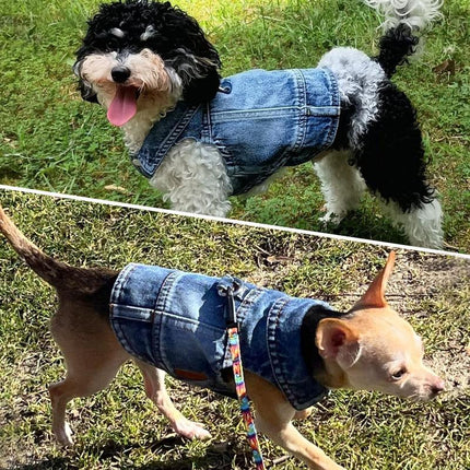 Dog Jean Jacket, Blue Denim Shirt Classic Lapel Vest Coat Costume Puppy T-Shirt, Comfort Tank Top Cool Apparel, Washed Pet Clothes for Dogs Boy Girl (With D-Ring, Medium)